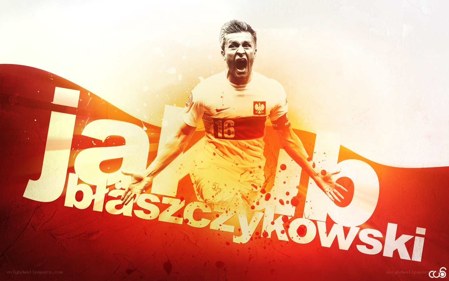 Jakub Blaszczykowski celebrates