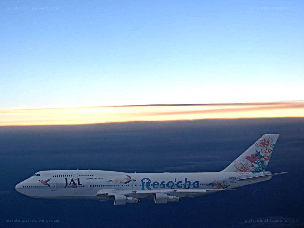 JAL airplane in flight