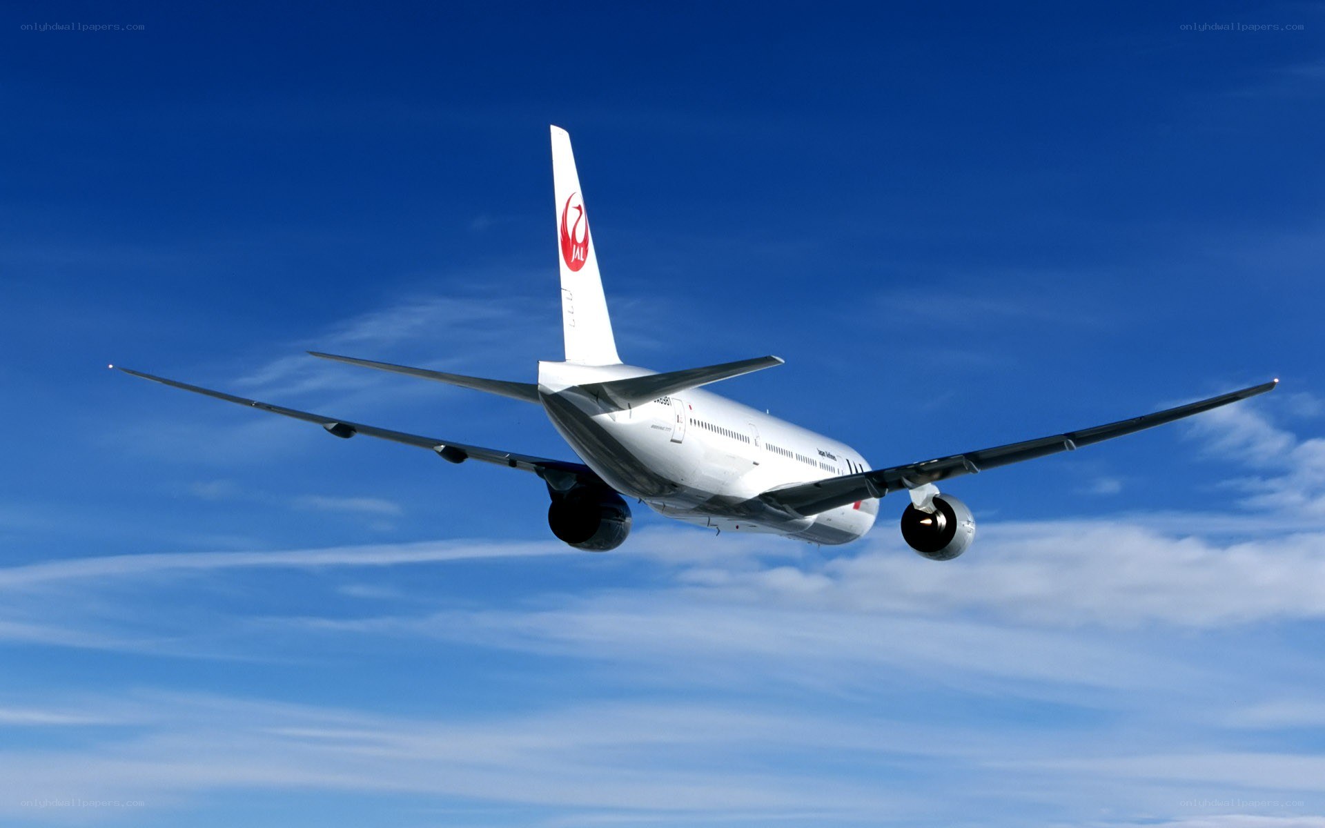 JAL airplane in flight