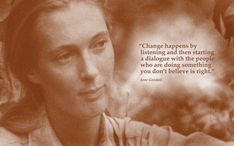Jane Goodall quote image
