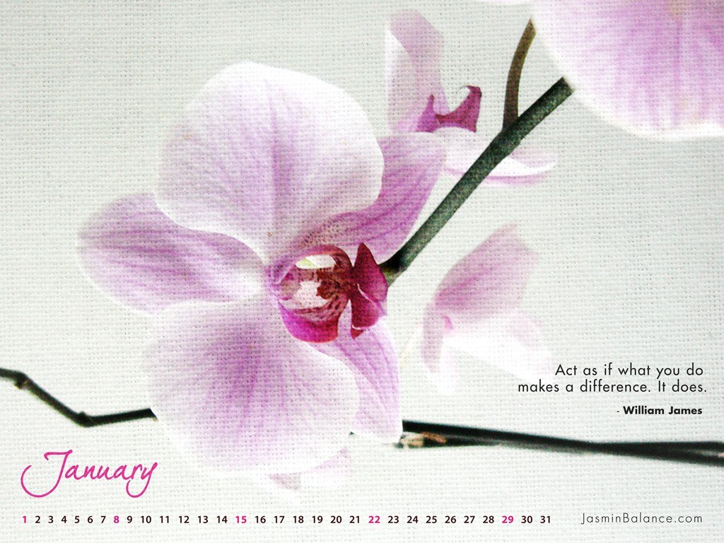 January calendar with orchid