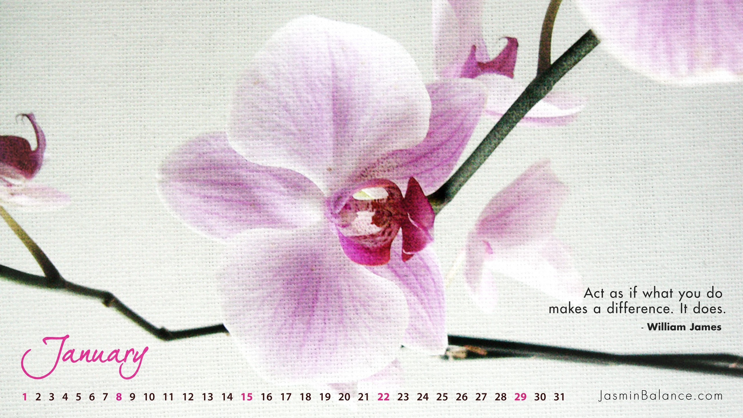 January orchid calendar