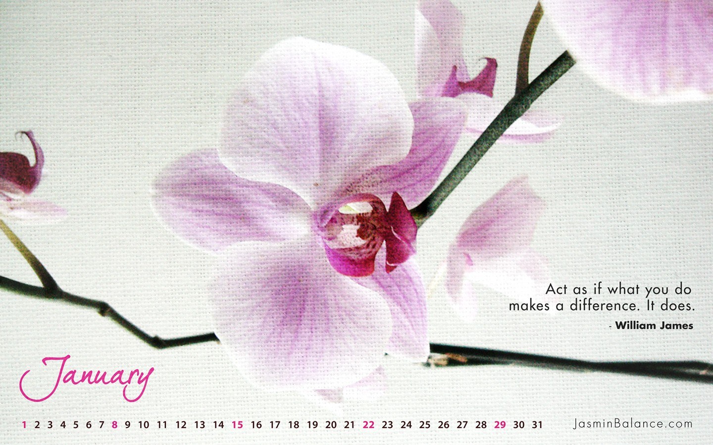 January orchid calendar