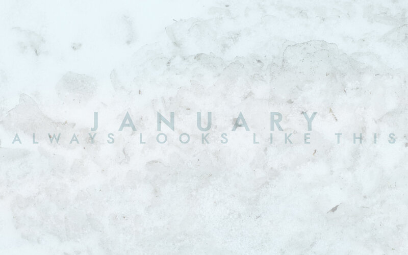 January snow scene