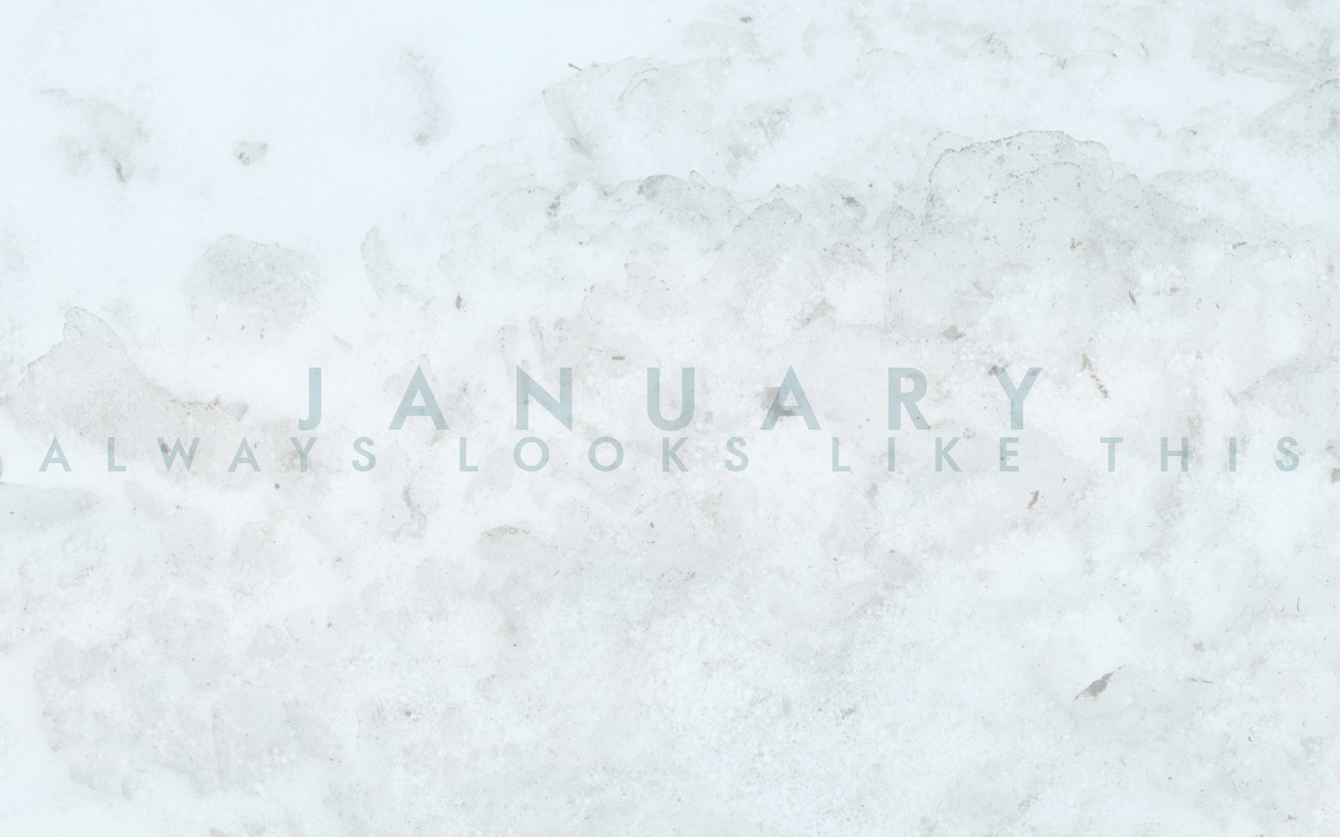 January snow scene