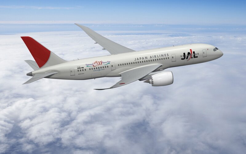 Japan Airlines Airplane — White, Serene