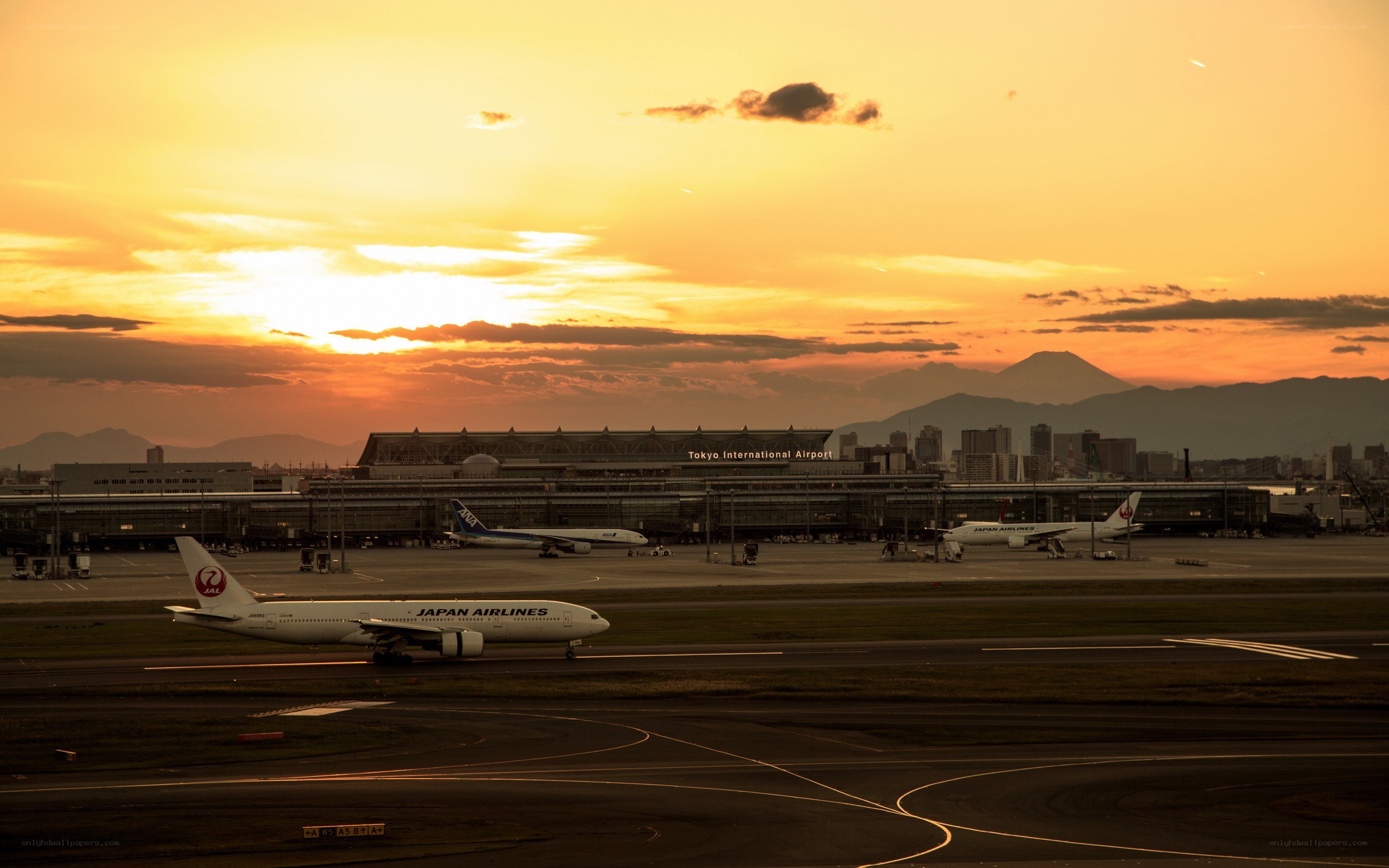 Japan Airlines at sunset