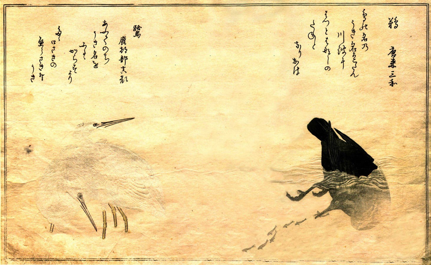 Japanese bird illustration with text