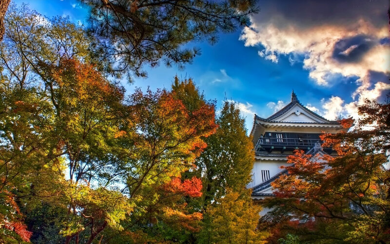 Japanese Castle in Autumn — Blue