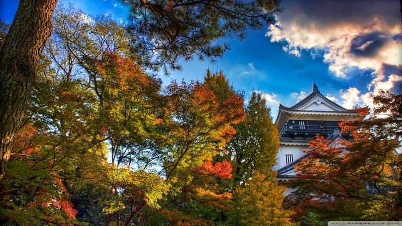 Japanese castle in autumn
