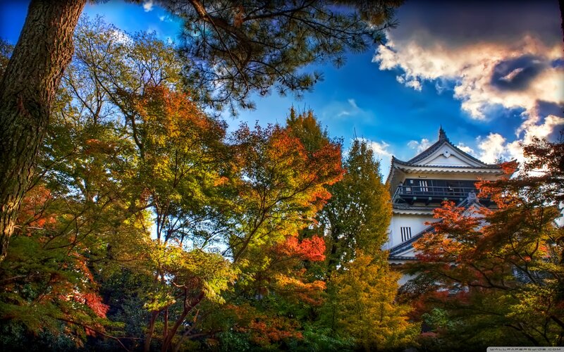 Japanese Castle Tower — Blue