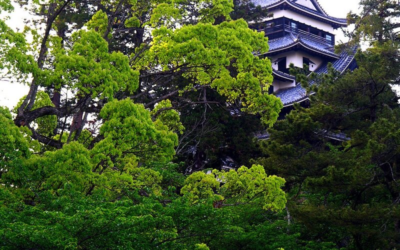 Japanese Castle Tower — Green, Serene, Spring