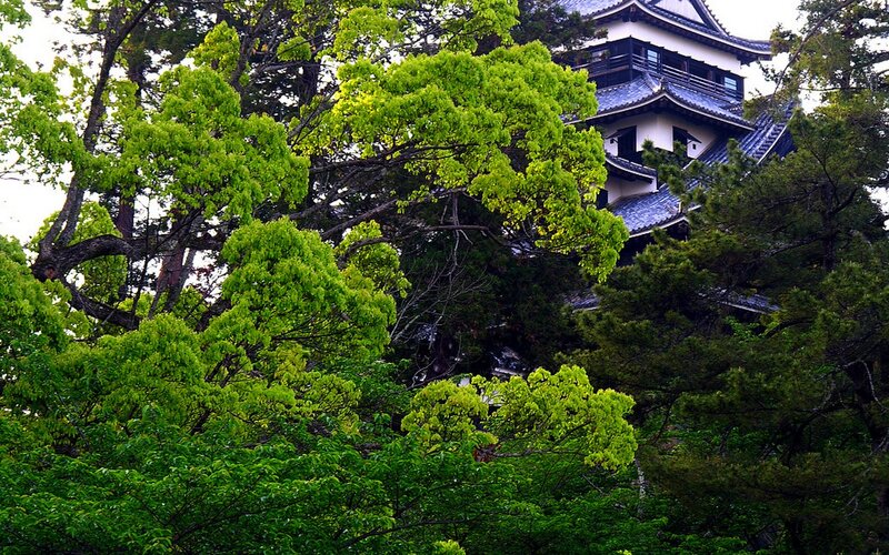 Japanese Castle Tower — Green, Serene