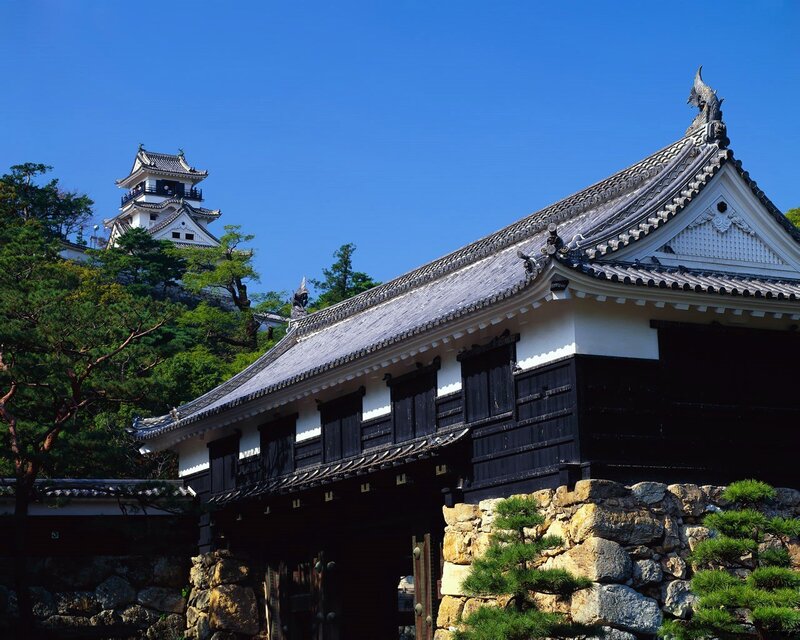 Japanese castle with traditional gate