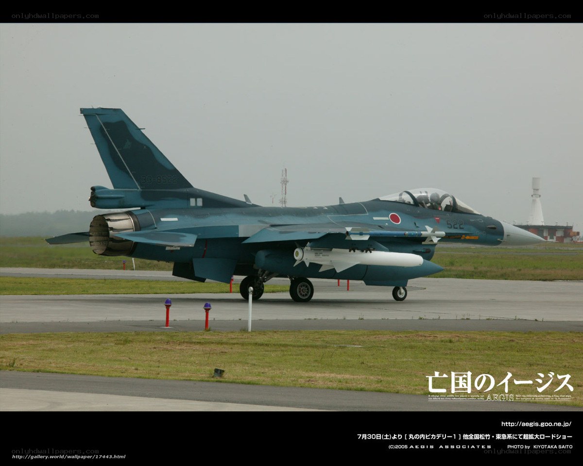 Japanese fighter jet on runway