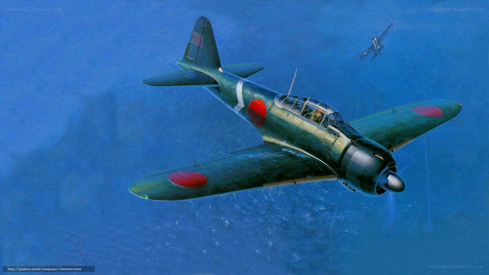 Japanese fighter plane in flight
