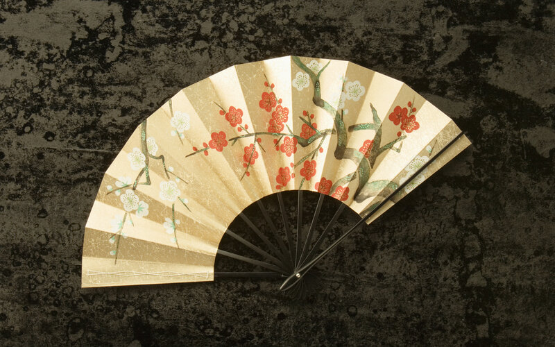 Japanese folding fan with plum blossoms