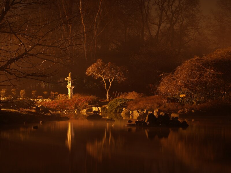 Japanese garden at dusk