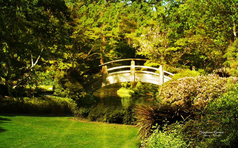 Japanese garden bridge