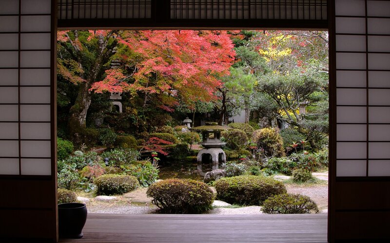 Japanese garden in autumn