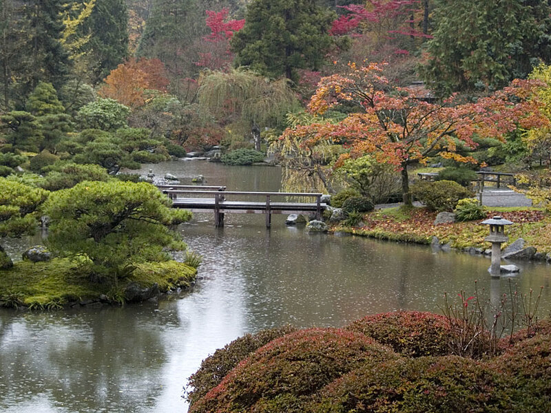 Japanese garden in autumn