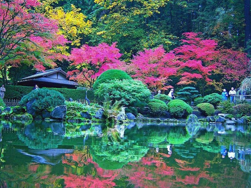 Japanese garden in autumn