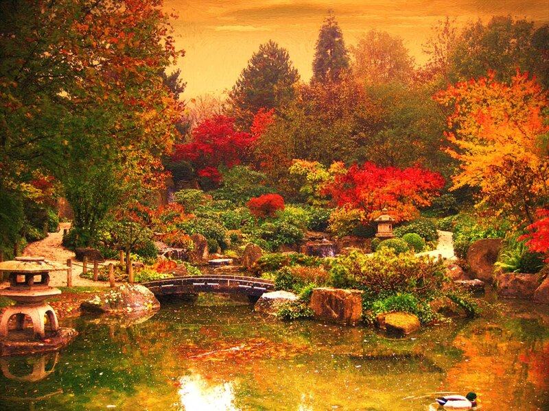 Japanese Garden in Autumn — Orange