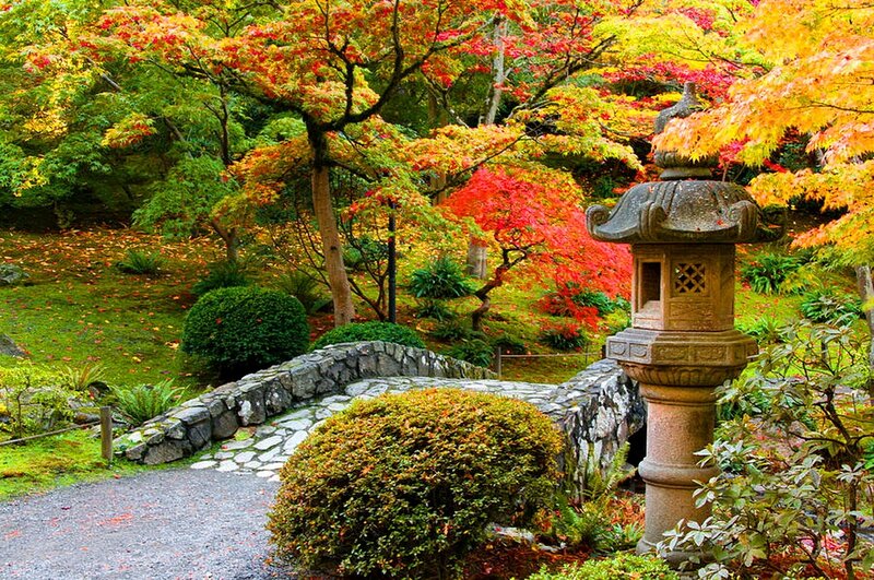 Japanese Garden in Autumn — Red, Serene, Photograph, Stone Lantern, Stone Bridge