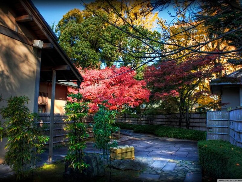 Japanese Garden in Autumn — Red, Serene, Photograph