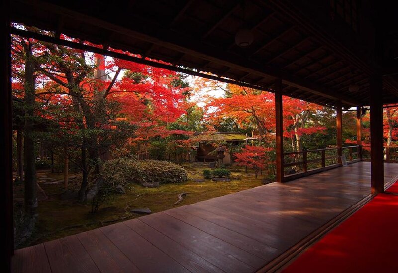 Japanese Garden in Autumn — Red, Serene