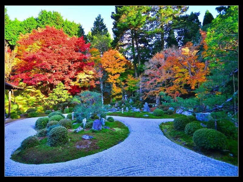Japanese Garden in Autumn — Red