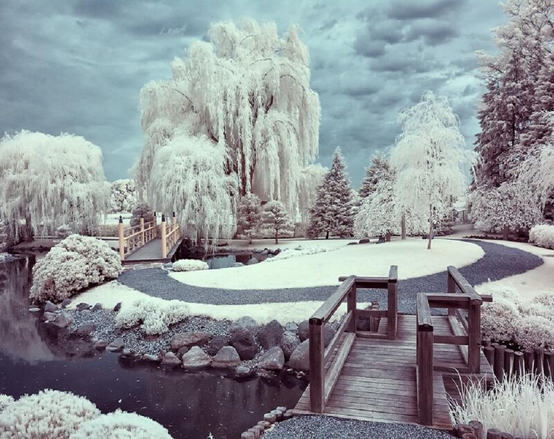 Japanese Garden in Winter