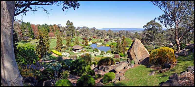 Japanese Garden Landscape — Green, Serene