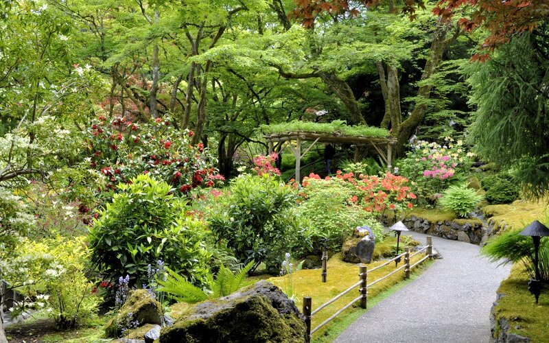 Japanese Garden Path — Green, Serene, Afternoon