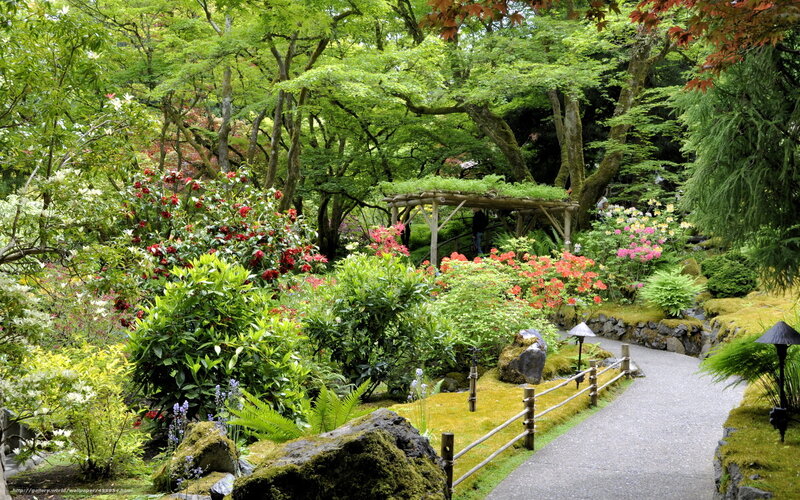 Japanese Garden Path — Green, Serene, Spring