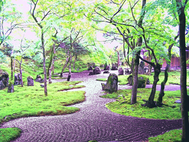 Japanese Garden Path — Green, Serene
