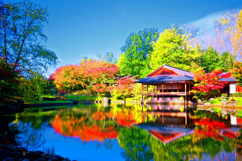 Japanese Garden Pavilion — Blue