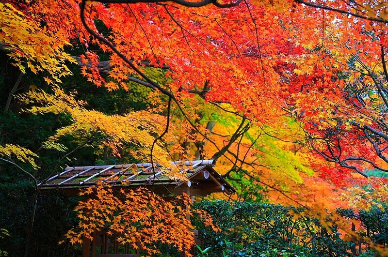 Japanese Garden Pavilion — Red