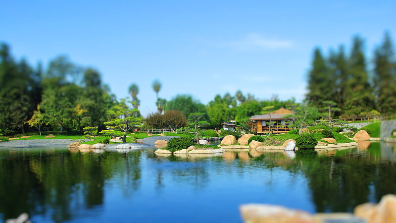 Japanese Garden Pond — Blue, Serene, Afternoon, Photograph, Trees