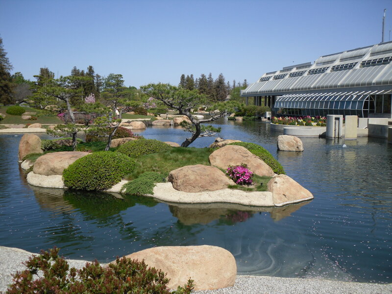 Japanese Garden Pond — Blue