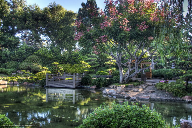 Japanese Garden Pond — Green, Serene, Afternoon, Photograph, Bridge, Tree