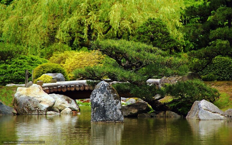 Japanese Garden Pond — Green, Serene, Afternoon, Photograph, Trees, Rocks, Bridge