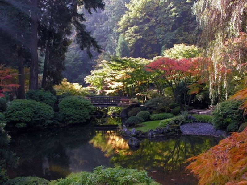 Japanese Garden Pond — Green, Serene, Autumn, Photograph, Bridge, Trees