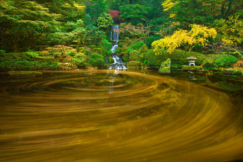 Japanese Garden Pond — Green, Serene, Autumn, Photograph, Waterfall, Stone Lantern, Trees, Moss