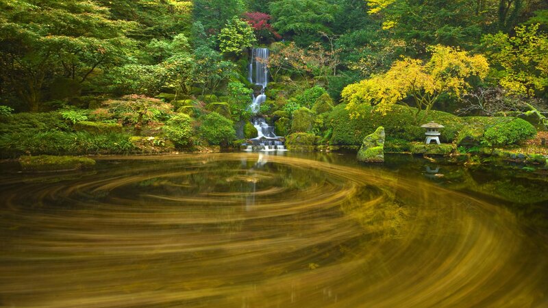 Japanese Garden Pond — Green, Serene, Autumn, Photograph, Waterfall, Stone Lantern, Trees