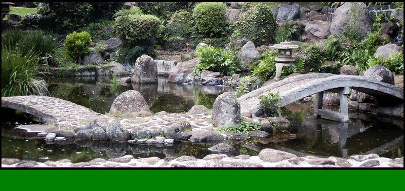Japanese Garden Pond — Green, Serene, Photograph