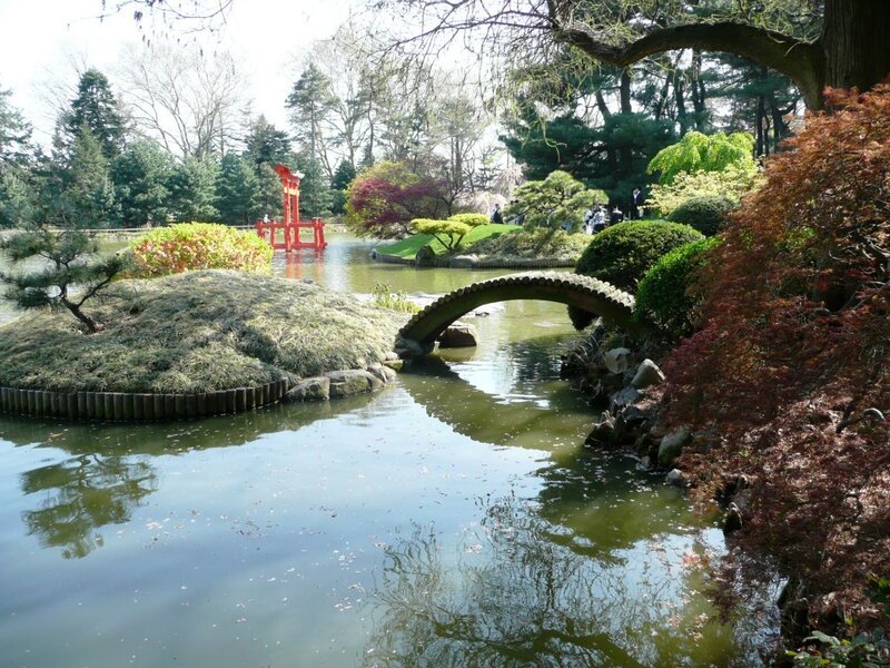 Japanese Garden Pond — Green, Serene, Spring, Photograph, Bridge