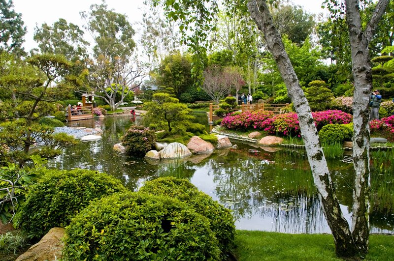 Japanese Garden Pond — Green, Serene, Spring, Photograph, Trees, Bushes