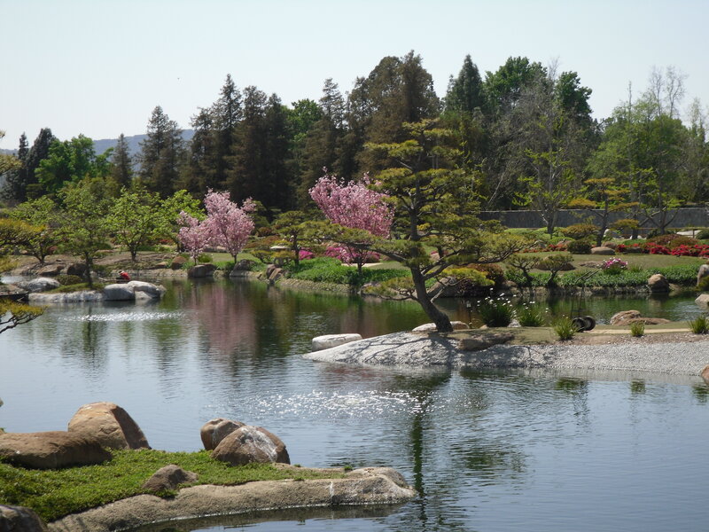 Japanese Garden Pond — Green, Serene, Spring