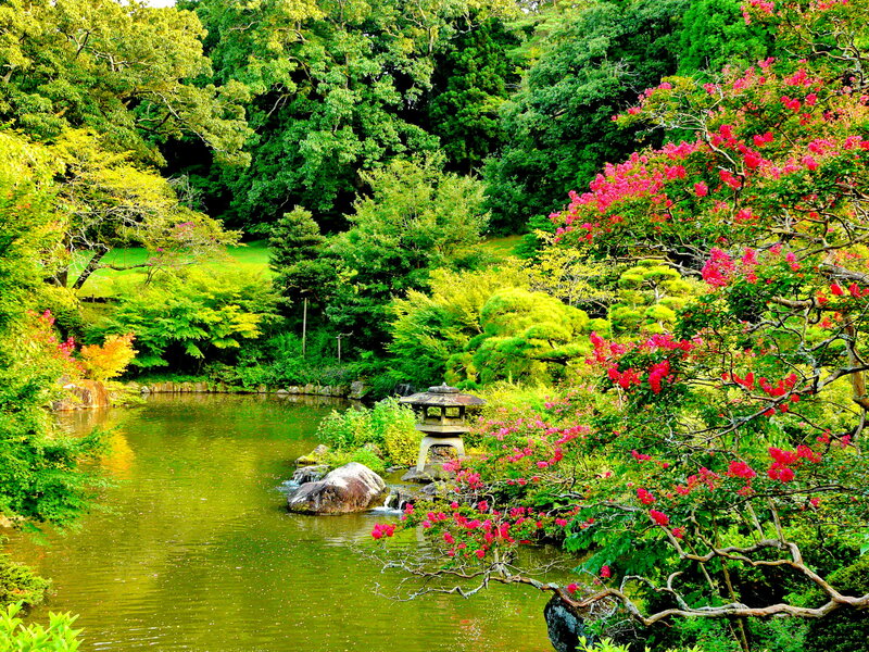 Japanese Garden Pond — Green, Serene, Summer, Photograph